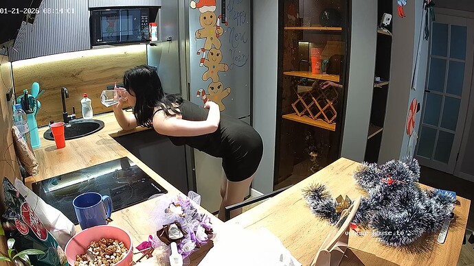 Noldus 2026-01-21 06-14-47-805