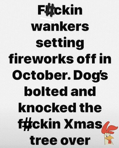 558159597_1382149810579262_3820074925461638421_n