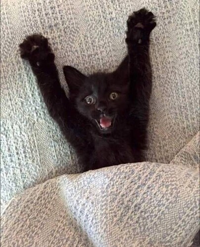 main-qimg-66adb9fe6976091055c7b2c080bfc475