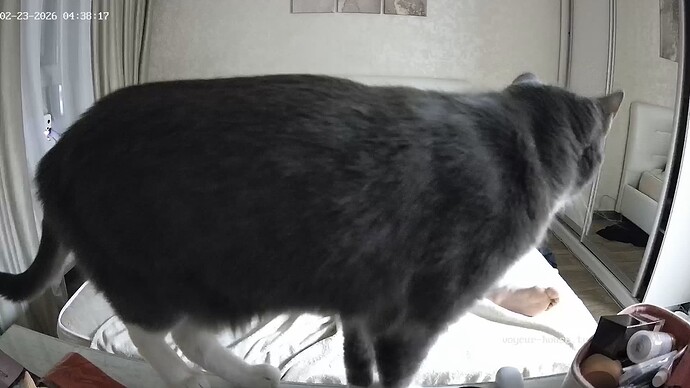 Noldus 2026-02-23 04-36-19-574