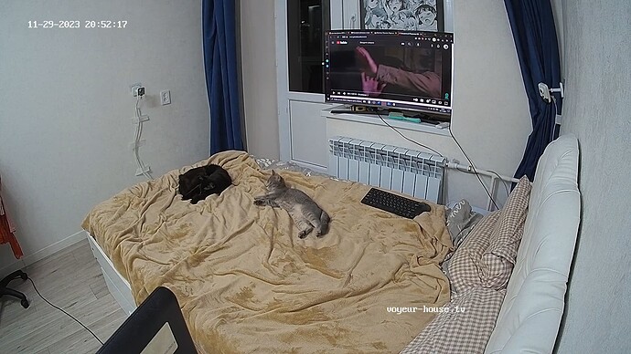 realm65-cam18-1701289757