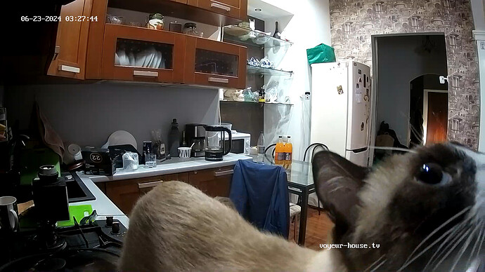 realm18-cam11-1719102505