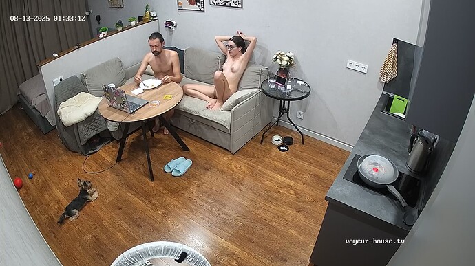 Ashampoo_Snap_mercredi 13 août 2025_0h33m39s_002_Living room camera at Verh & Nizik reallifecam apartment at Voyeur House TV (cam14) - Google Chrome