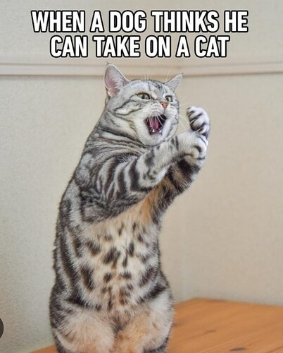 main-qimg-2bca6567be7a060fe0e67f1df5376f45