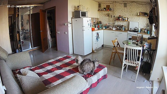 realm75-cam14-1714240456