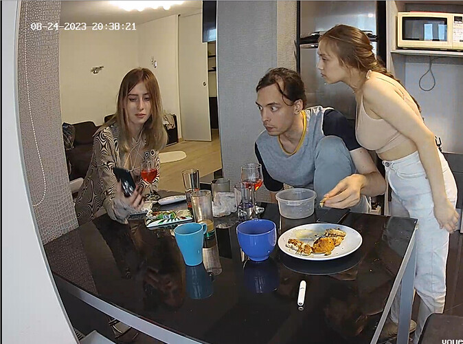 Screenshot 2023-08-24 at 10-40-34 Kitchen camera at Tonk reallifecam apartment at Voyeur House TV (cam12)