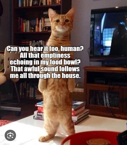 main-qimg-3f537277297c008ae76f6c9479cf4875