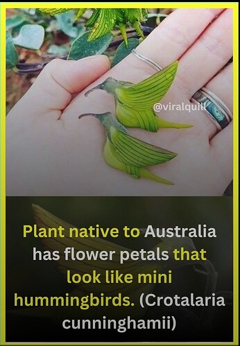 2025_10_11_11.08.22_Edited