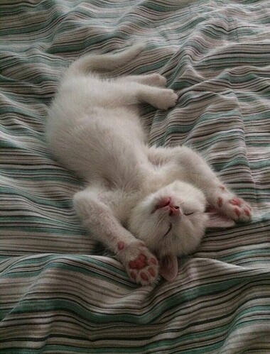 main-qimg-9caf77ff8ffc303c3753ce8714d20d5e-lq_Edited