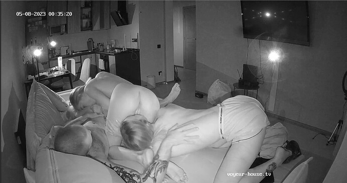 Screenshot 2023-05-07 at 17-35-38 Living room camera at Amelie & Lucas reallifecam apartment at Voyeur House TV (cam14)