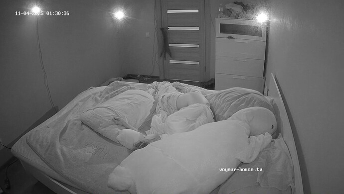 realm62-cam16-1762209074