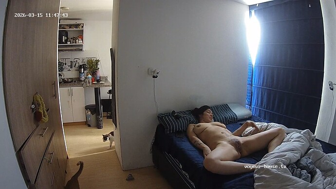 realm44-cam16-1773594012