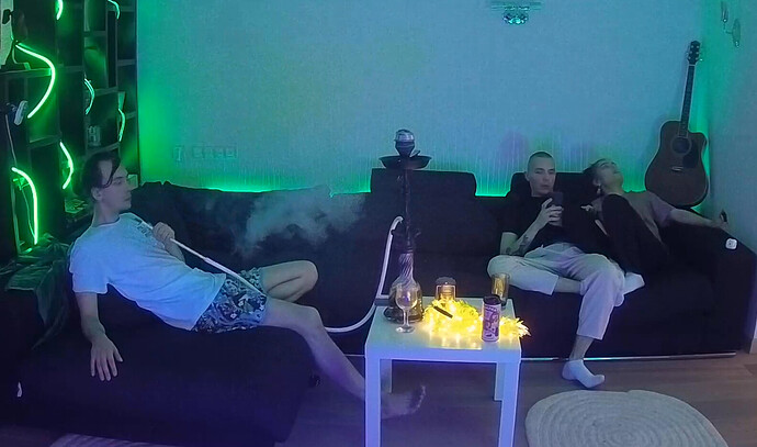 Screenshot 2023-08-11 at 20-14-42 Tonk apartment with reallifecam cameras at Voyeur House TV