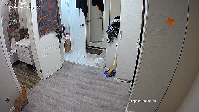 Itchi is still watching 2