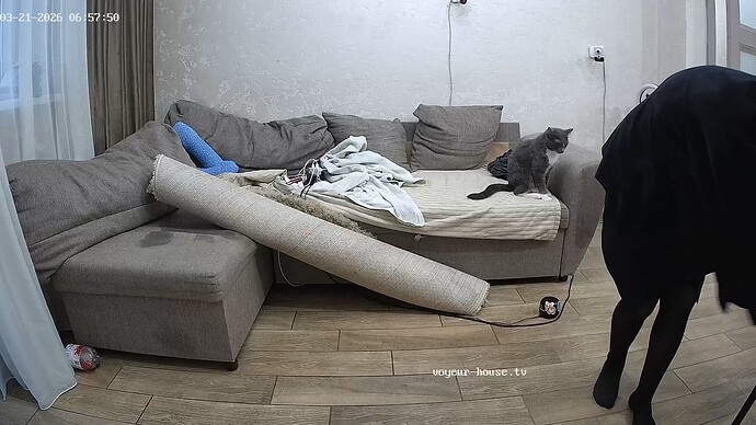 realm5-cam15-1774065564