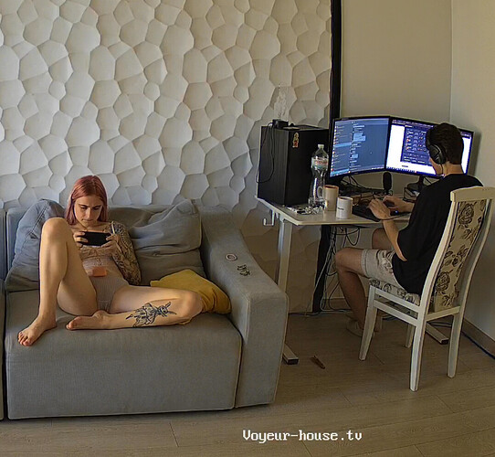 Screenshot 2023-08-18 at 12-33-58 Living room camera at Lynda & Blade reallifecam apartment at Voyeur House TV (cam15)