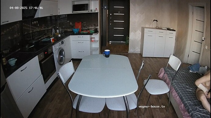 Ashampoo_Snap_mardi 8 avril 2025_16h47m28s_003_Kitchen camera at Tea reallifecam apartment at Voyeur House TV (cam12) - Google Chrome