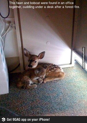 main-qimg-1be24d70adf1082d8fdfb1ceb6a3b72e