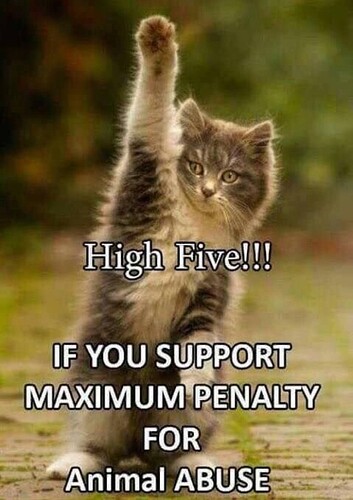 main-qimg-9b109a3a4f85630284f78061bf79045d