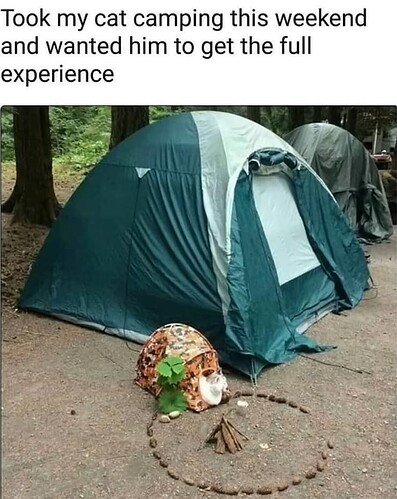Camping