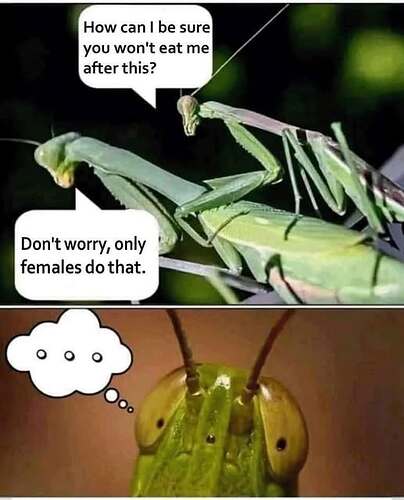 574558581_1364738265359323_1815819016424523919_n