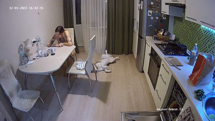 realm62-cam12-1701438194