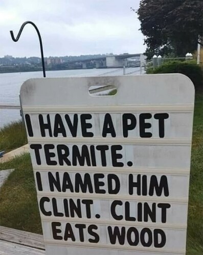 Clint