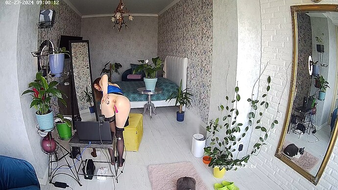 realm35-cam18-1709021338