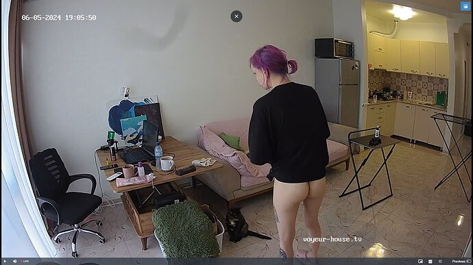 Ashampoo_Snap_mercredi 5 juin 2024_17h6m11s_003_Living room camera at Inira & Unuk reallifecam apartment at Voyeur House TV (cam13) - Google Chrome