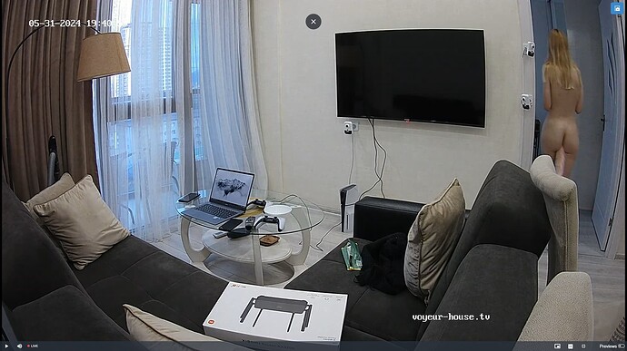 Ashampoo_Snap_vendredi 31 mai 2024_17h45m3s_011_Living room camera at Alleria reallifecam apartment at Voyeur House TV (cam13) - Google Chrome