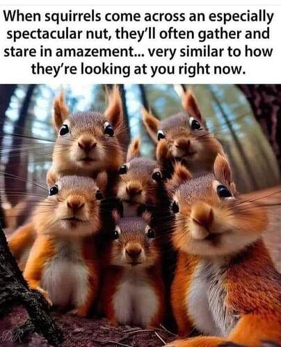 FB_IMG_1683729385075