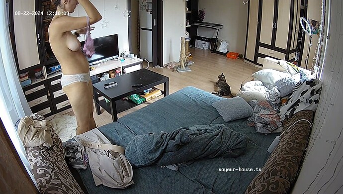 realm7-cam15-1724355449