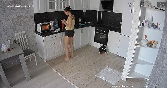 Screenshot 2023-06-02 at 10-12-19 Kitchen camera at Flora reallifecam apartment at Voyeur House TV (cam12)