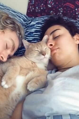 main-qimg-6d0a443564e38c84ec9d91582ad92d81