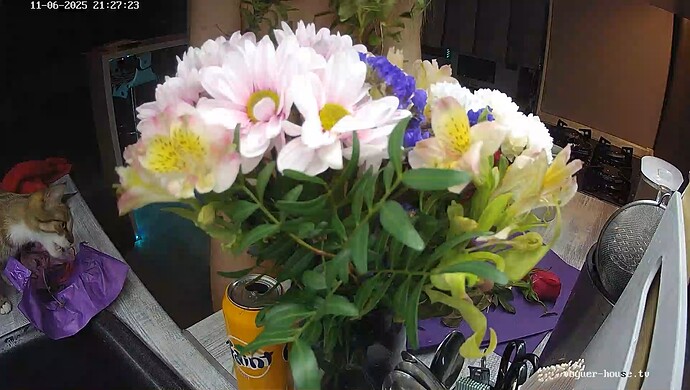 realm64-cam11-1762457295