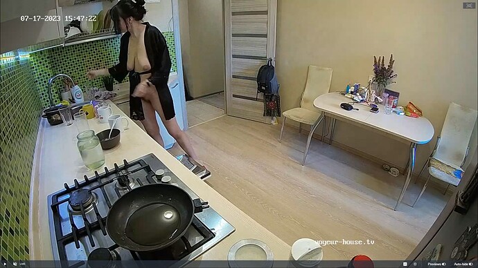 Ashampoo_Snap_lundi 17 juillet 2023_14h48m9s_005_Clara & Stas apartment with reallifecam cameras at Voyeur House TV - Google Chrome