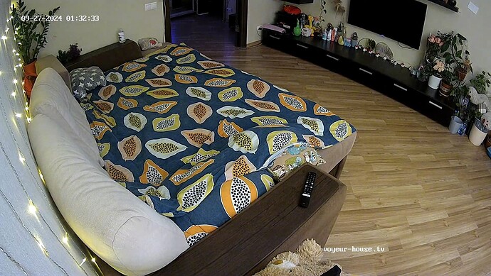 realm37-cam16-1727389987