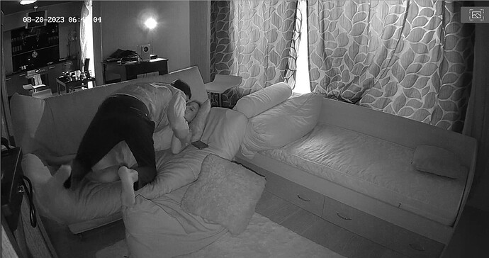 Screenshot 2023-08-20 at 03-53-48 Bedroom camera at Momo reallifecam apartment at Voyeur House TV (cam18)