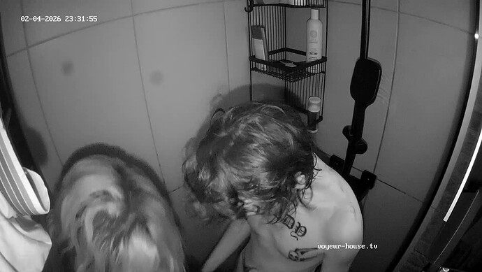 realm115-cam18-1770237169