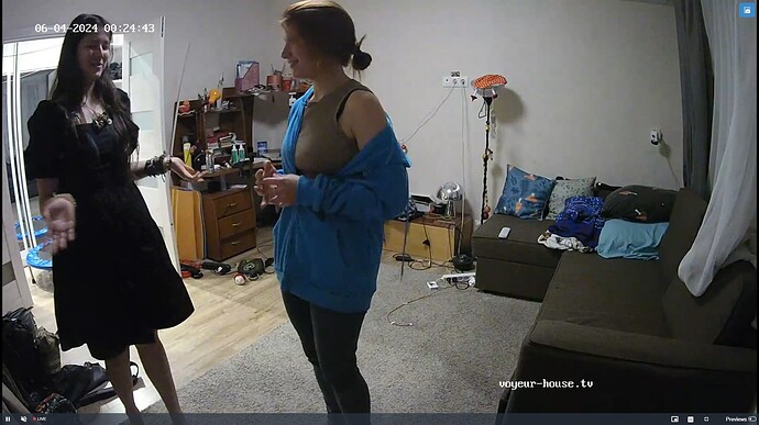 Ashampoo_Snap_lundi 3 juin 2024_23h25m12s_002_Living room camera at Camille reallifecam apartment at Voyeur House TV (cam15) - Google Chrome