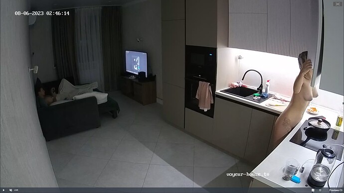 Ashampoo_Snap_dimanche 6 août 2023_1h47m53s_005_Guest room camera at Tonk reallifecam apartment at Voyeur House TV (cam18) - Google Chrome
