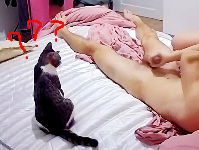 bandicam 2024-02-04 08-24-19-597