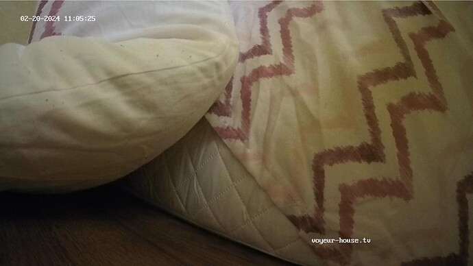 Screenshot 2024-02-20 at 02-05-44 Bedroom camera at Derek & Gina reallifecam apartment at Voyeur House TV (cam17)