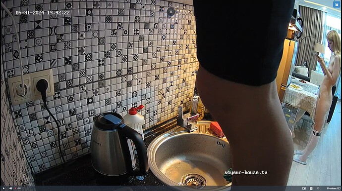 Ashampoo_Snap_vendredi 31 mai 2024_17h43m28s_007_Kitchen camera at Alleria reallifecam apartment at Voyeur House TV (cam11) - Google Chrome