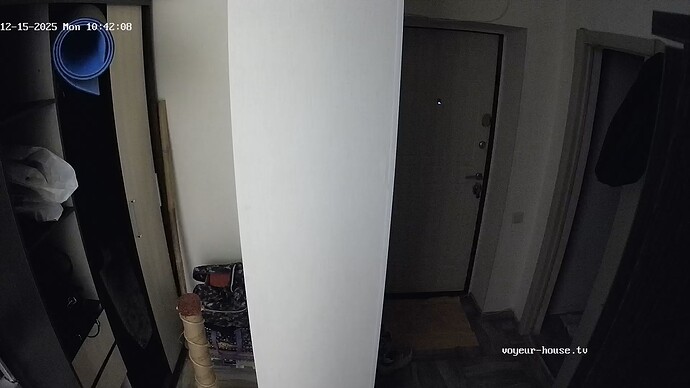 realm130-cam110-1765800583