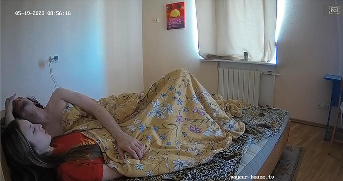 Screenshot 2023-05-19 at 00-10-31 Living room camera at Playboy House reallifecam apartment at Voyeur House TV (cam13)
