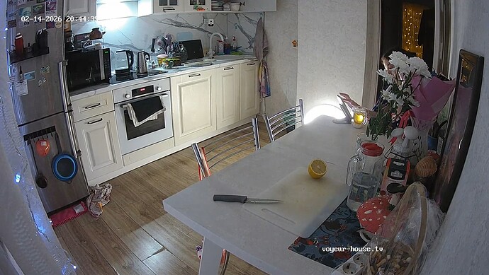 CamilleKitty-20260214-03-proof