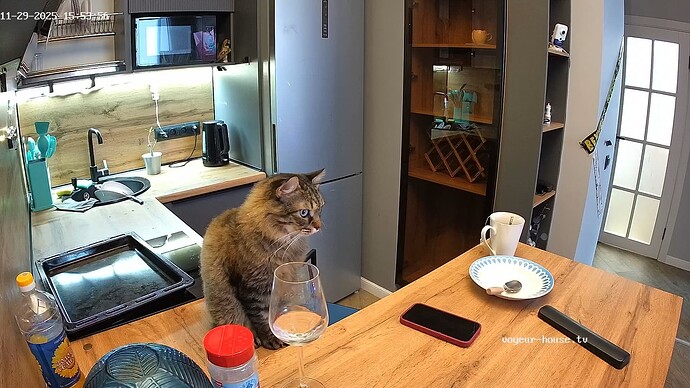 realm94-cam12-1764420874