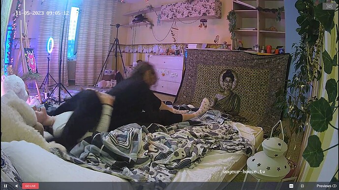 Noldus 2023-11-05 05-08-55-763