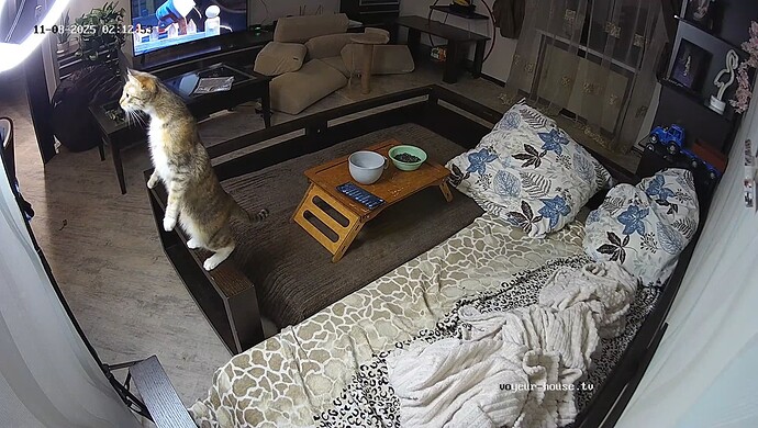 realm64-cam16-1762557534